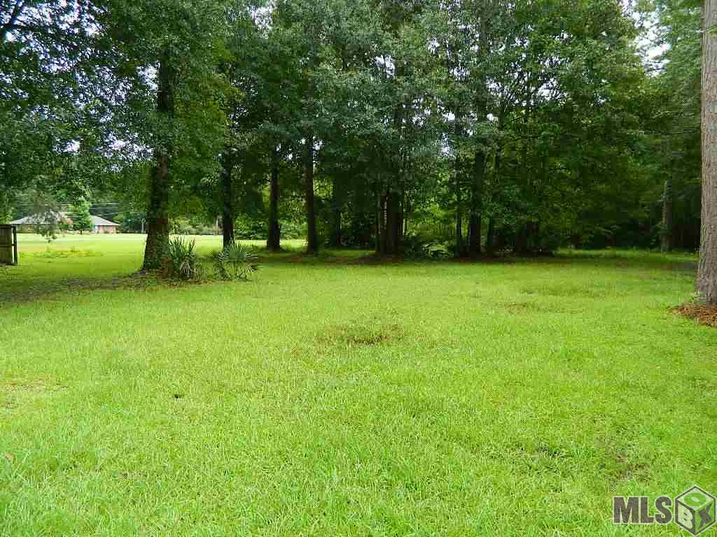 32646 Mercier Road Denham Springs, LA 70706 - Photo 6 of 19
