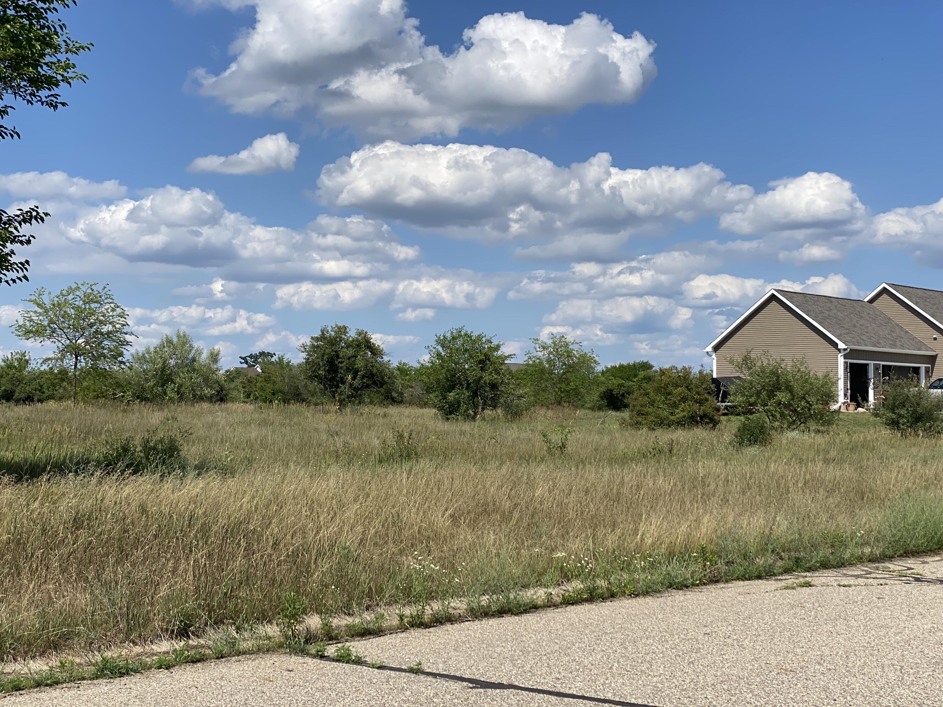 8150 Idared Road St. Johns, MI 48879 - Photo 6 of 7 IMG_1083