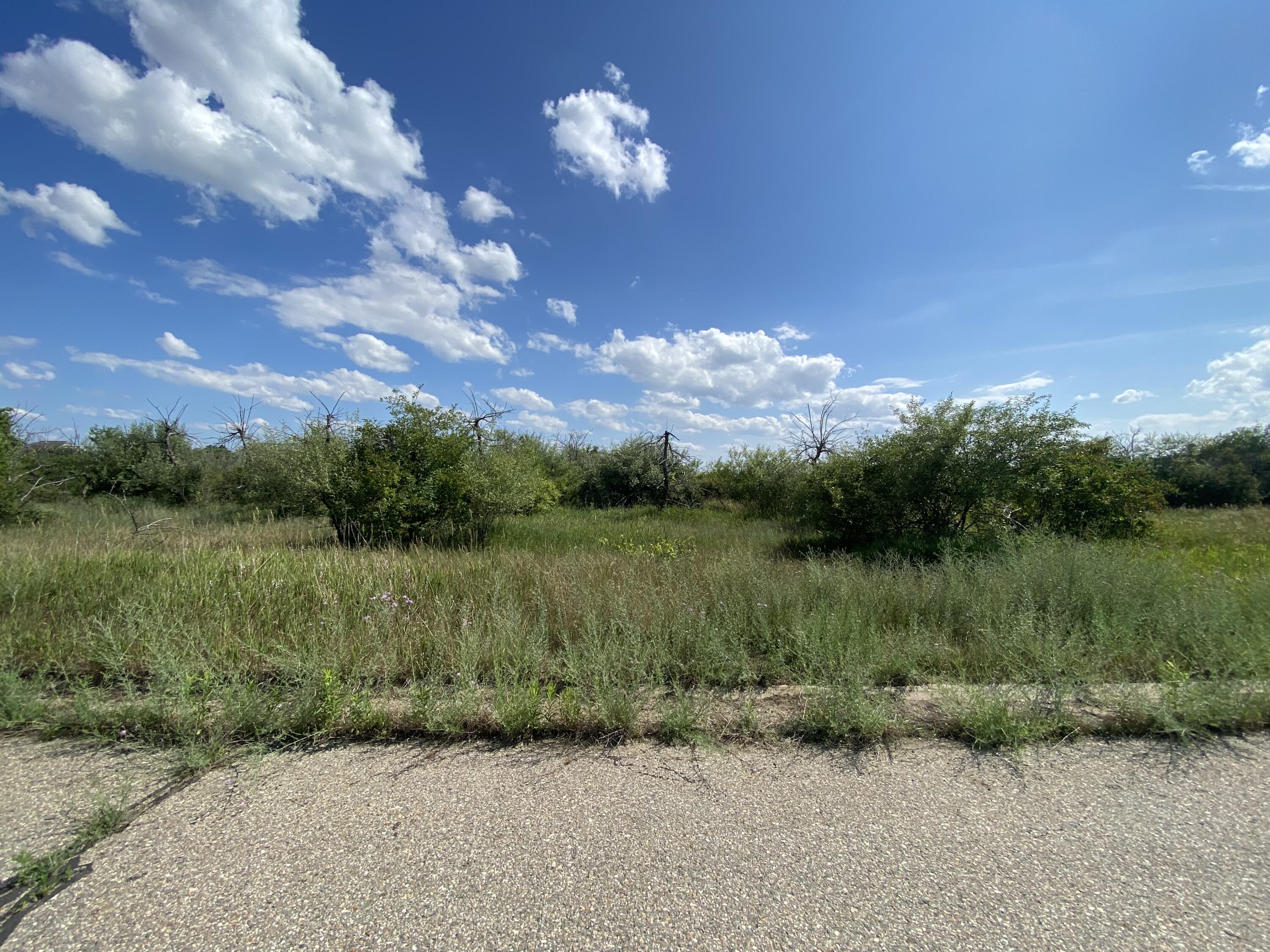 8150 Idared Road St. Johns, MI 48879 - Photo 7 of 7 IMG_1084