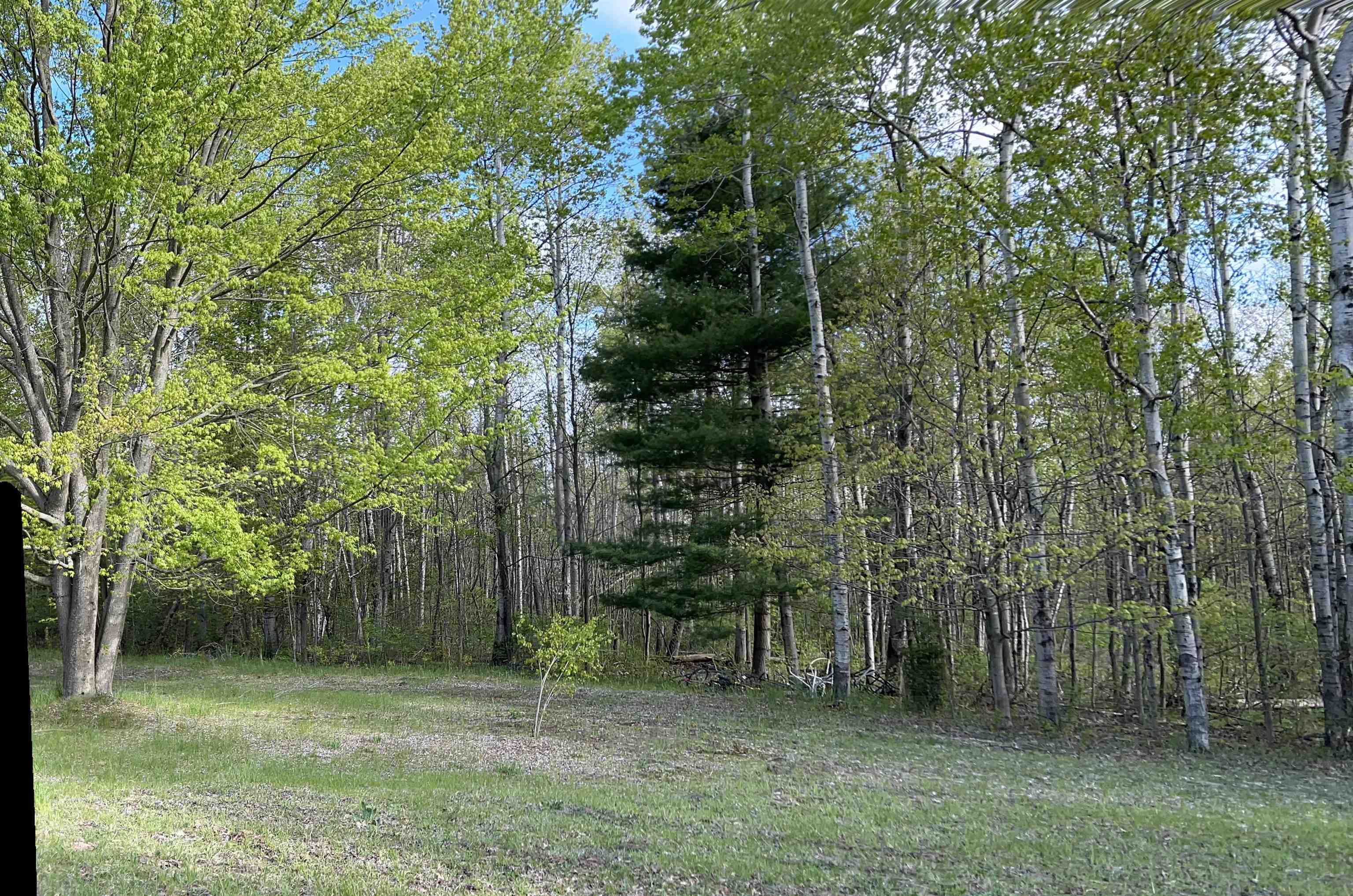 5484 River Road Benzonia, MI 49616 - Photo 16 of 25