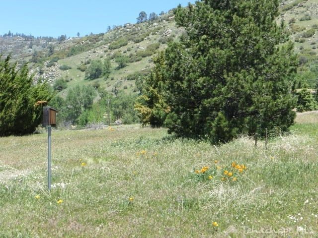 26140 Bear Valley Road Tehachapi, CA 93561 - Photo 5 of 58 Gallery Image 5