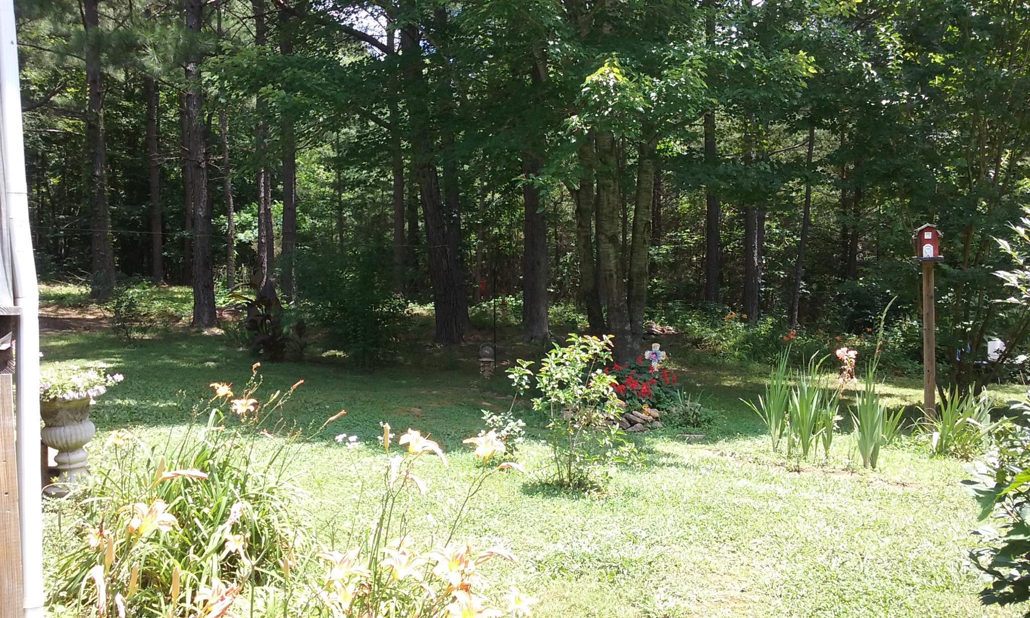 5577 Bell Branch Road Nunnelly, TN 37137 - Photo 3 of 30 More trees around yard