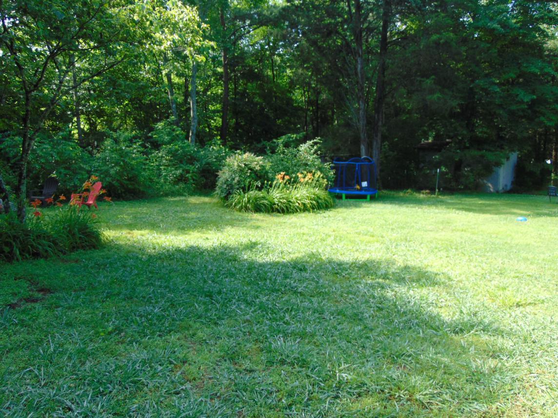 5577 Bell Branch Road Nunnelly, TN 37137 - Photo 4 of 30 SIDE YARD