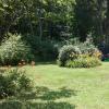 5577 Bell Branch Road Nunnelly, TN 37137 - Photo 7 of 30 lots of landscaping