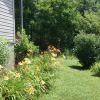 5577 Bell Branch Road Nunnelly, TN 37137 - Photo 8 of 30 walking around the house, flowery view
