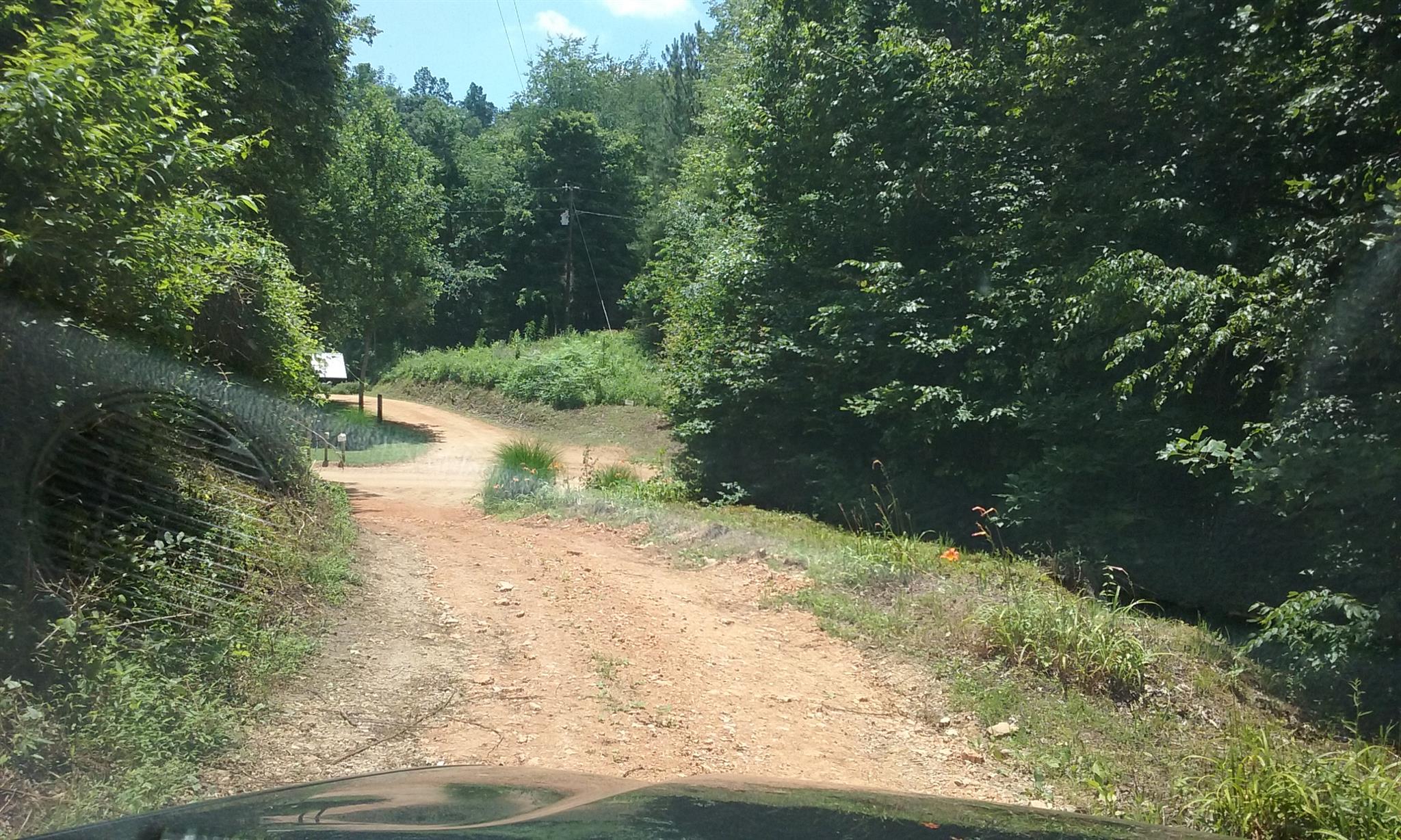 5577 Bell Branch Road Nunnelly, TN 37137 - Photo 10 of 30 Top of Driveway view to road