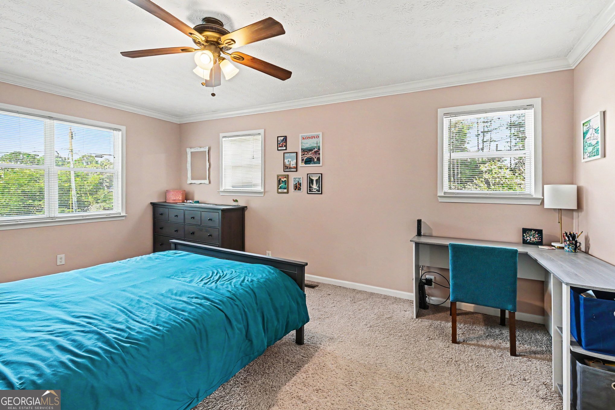 237 Palmetto Road Tyrone, GA 30290 - Photo 6 of 28