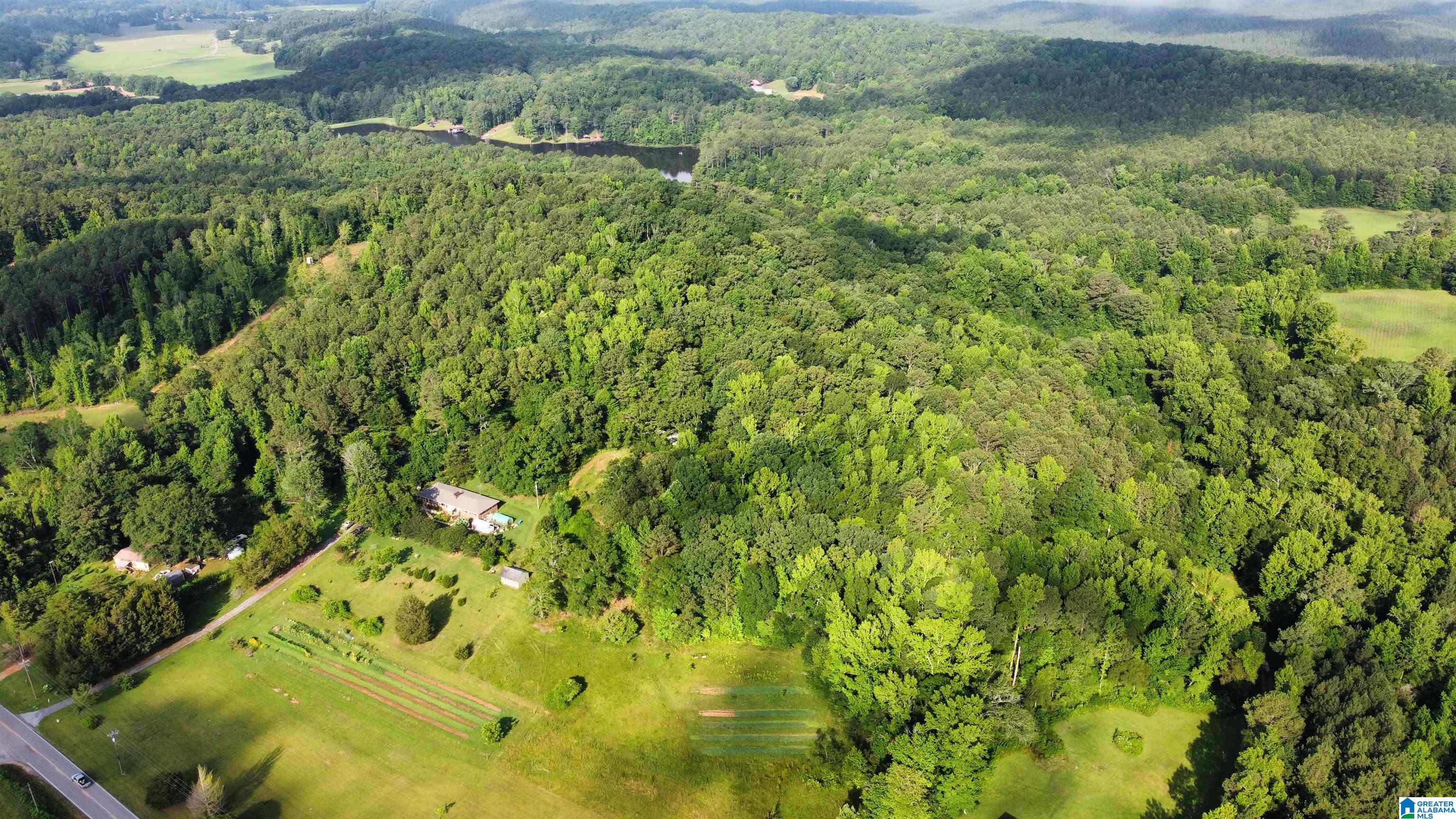 1505 Camp Creek Road Cropwell, AL 35054 - Photo 44 of 48