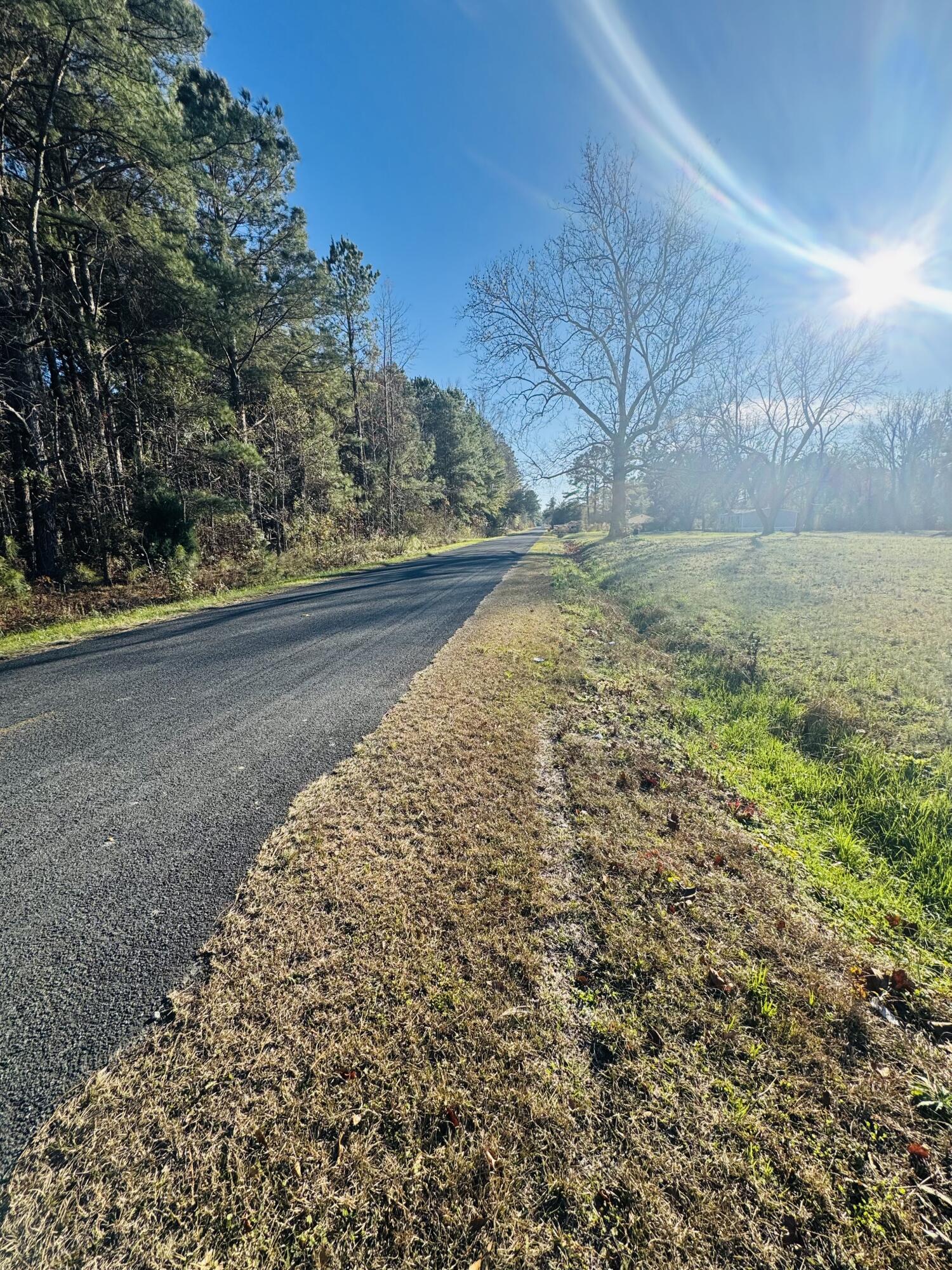 0 Bishopville Road St. George, SC 29477 - Photo 5 of 11