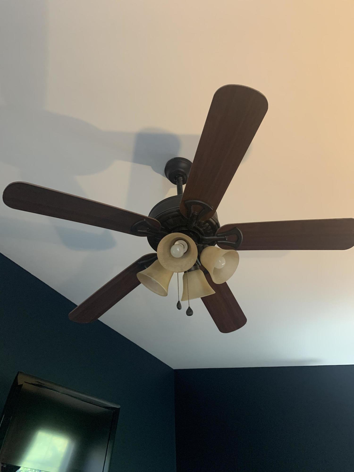 662 Suffolk Road Johnson City, TN 37615 - Photo 24 of 32 Fans throught house
