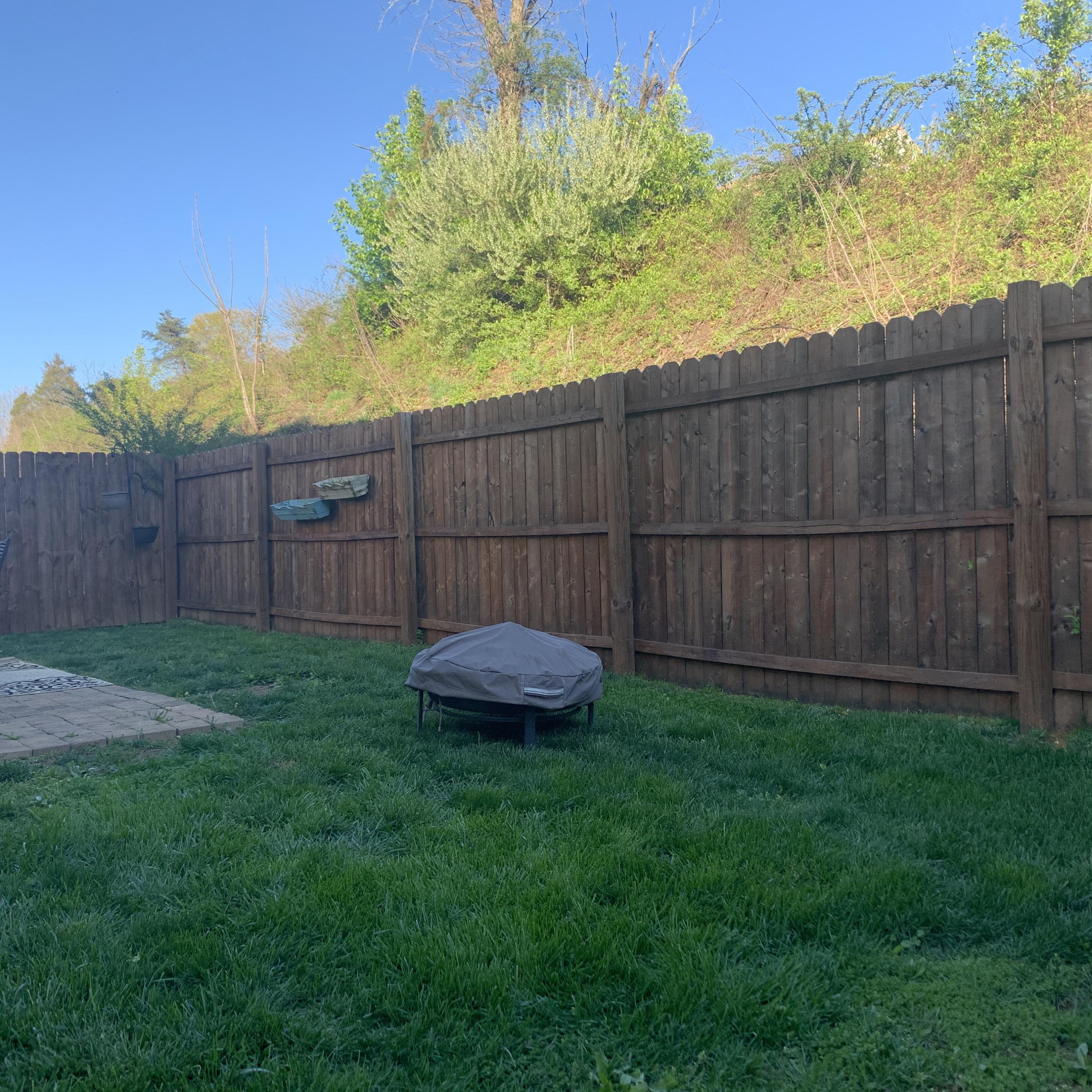 662 Suffolk Road Johnson City, TN 37615 - Photo 28 of 32 Flat fenced back yard