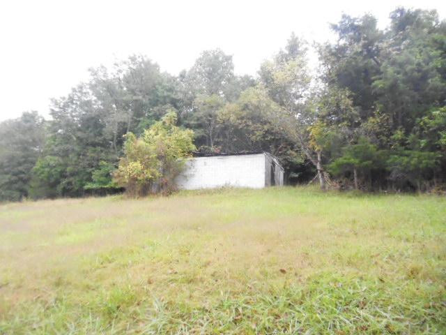 4823 Long Lick Road Stamping Ground, KY 40379 - Photo 3 of 10 Photo 3