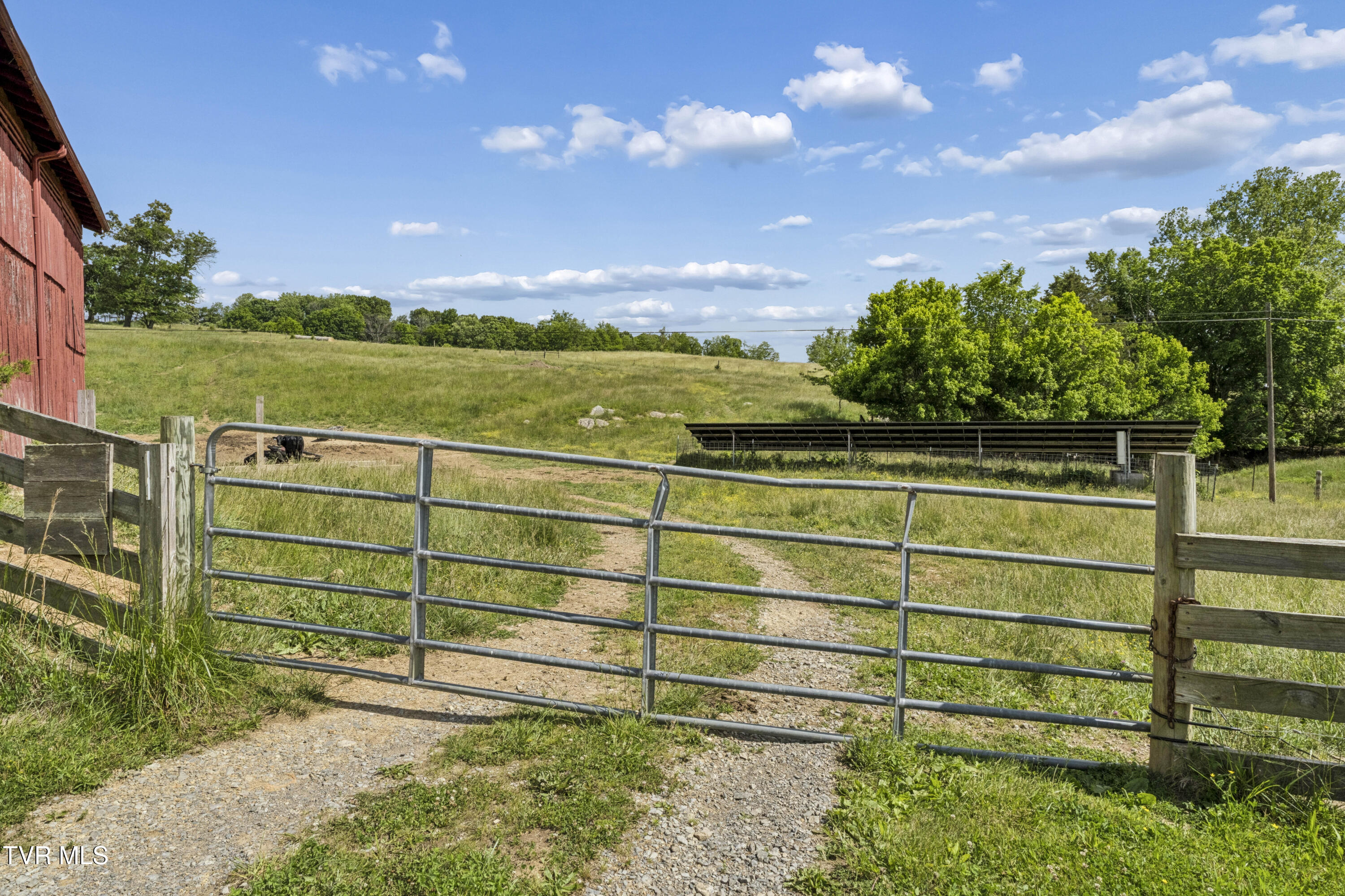 3200 Milburnton Road Limestone, TN 37681 - Photo 12 of 41 Mlburton-4354
