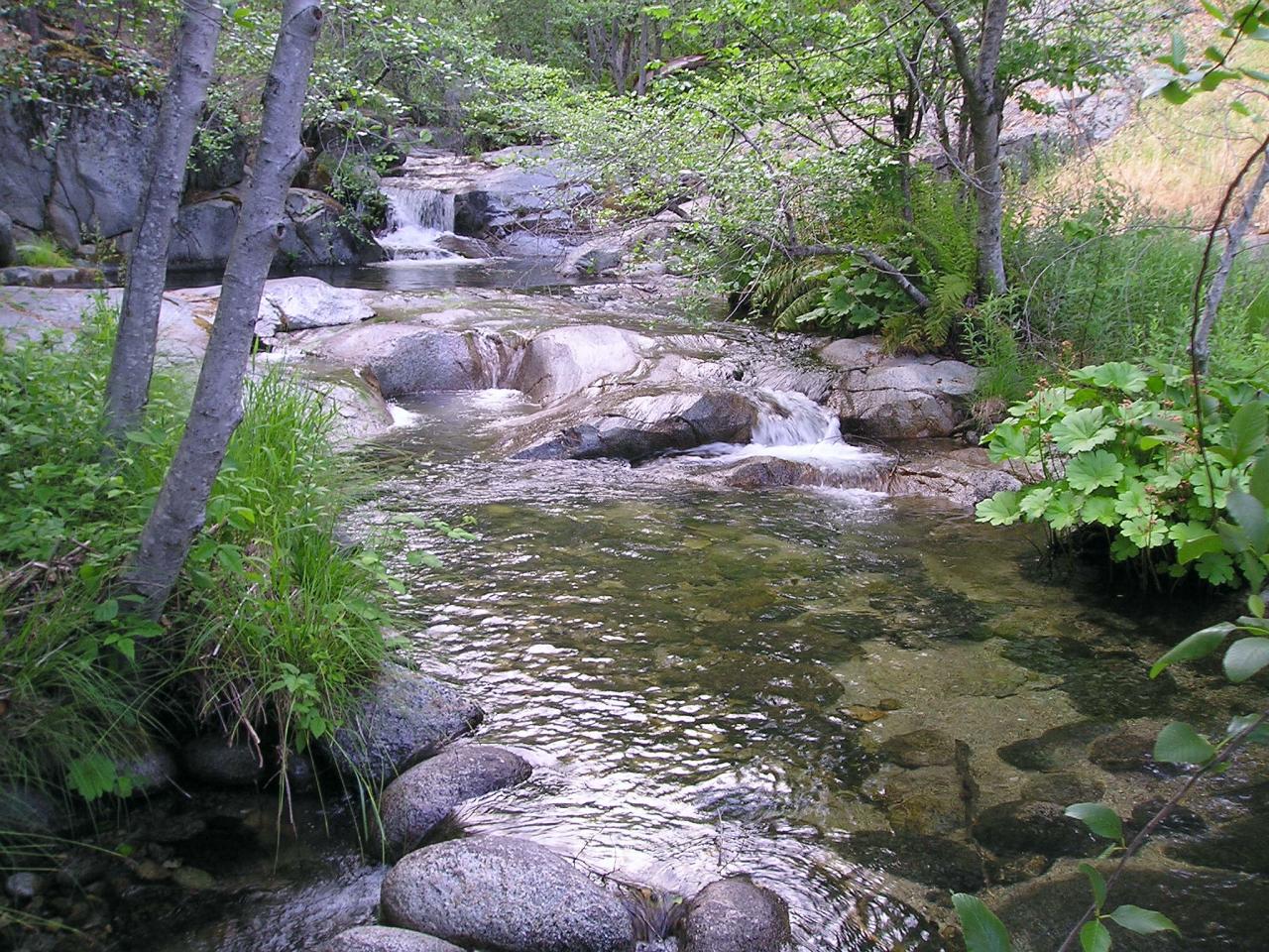 8623 Zogg Mine Road Igo, CA 96047 - Photo 1 of 22 South Fork Clear Creek