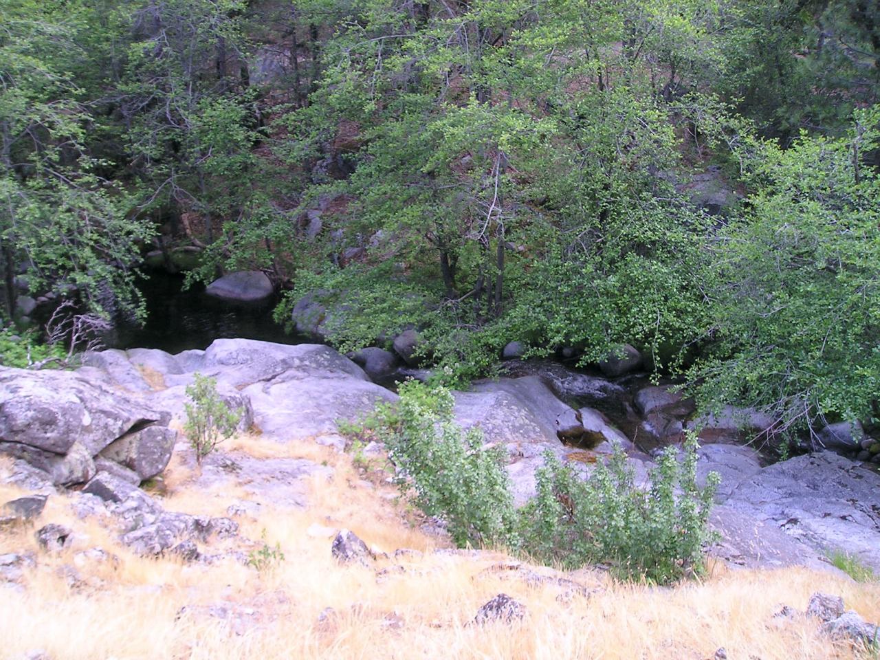 8623 Zogg Mine Road Igo, CA 96047 - Photo 14 of 22 South Fork Clear Creek