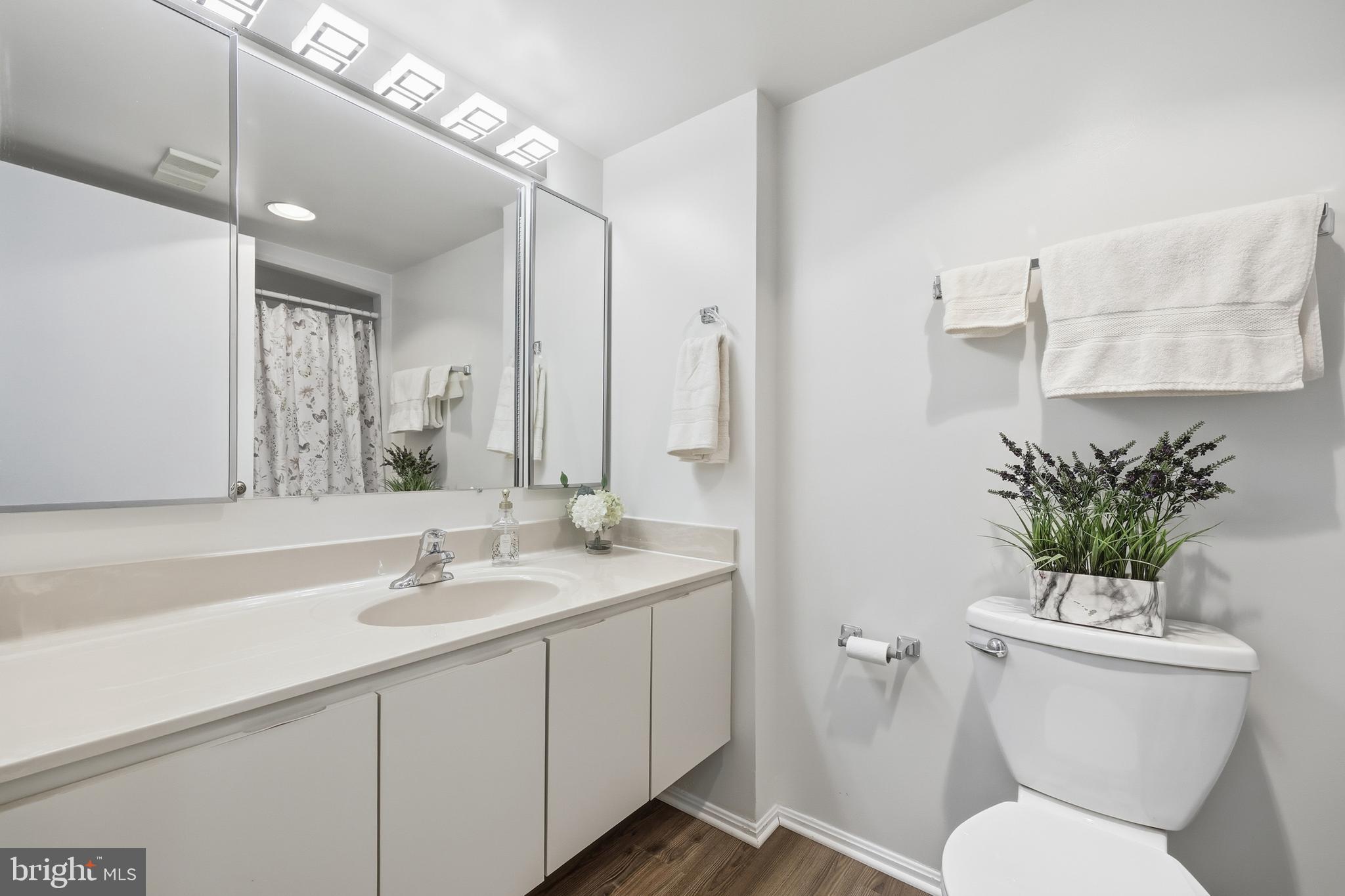 15115 Interlachen Drive, Unit 3417 Silver Spring, MD 20906 - Photo 17 of 22 Hall Bathroom with Tub/Shower