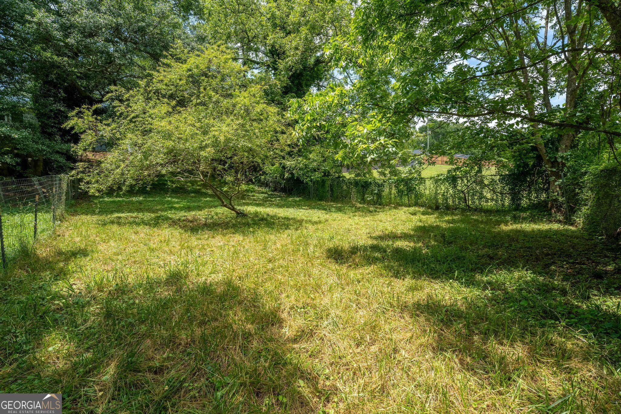 128 Branch Street Toccoa, GA 30577 - Photo 35 of 38 a view of outdoor space and yard