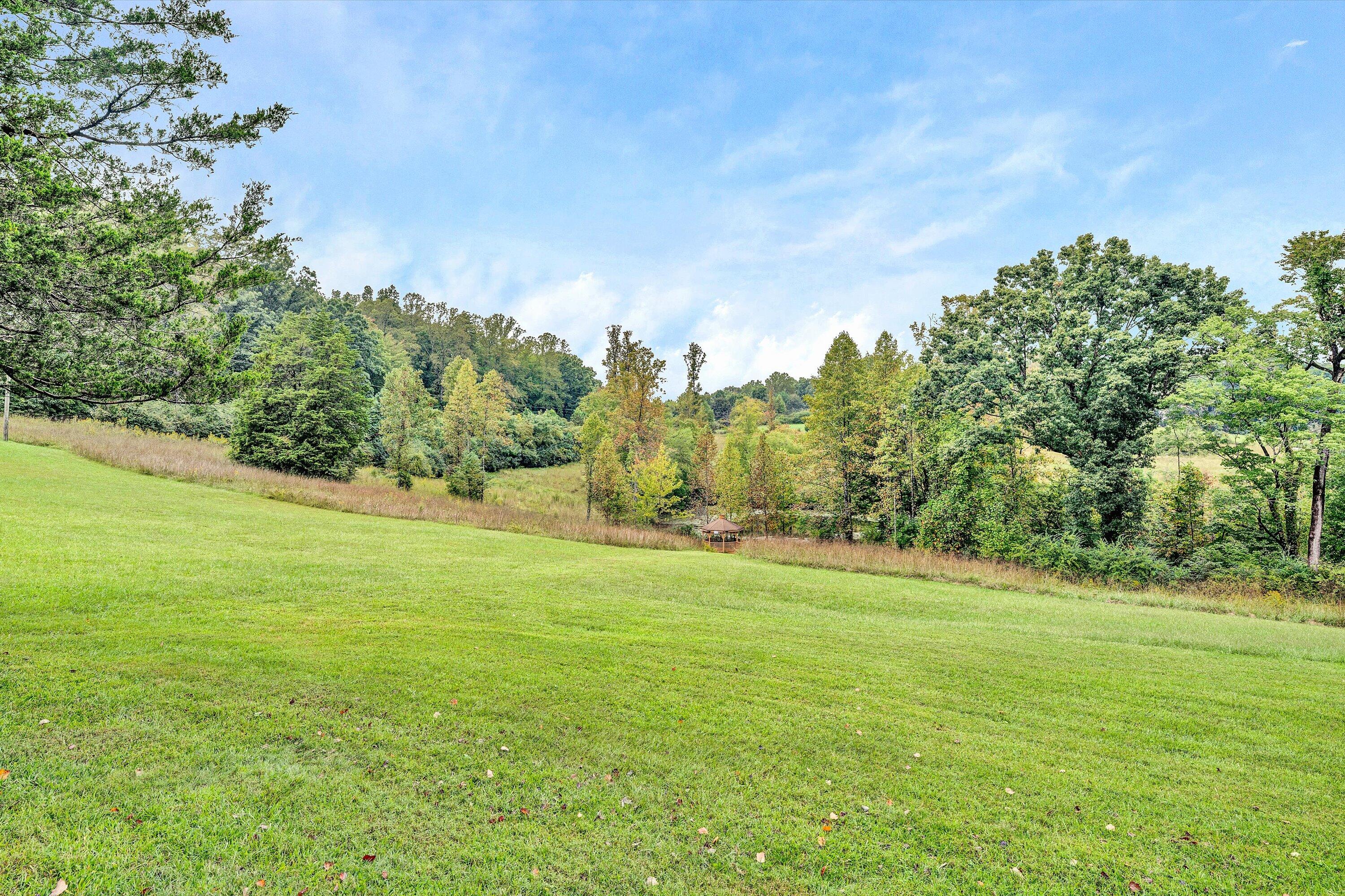 1117 Bouldin Road Ridgeway, VA 24148 - Photo 61 of 70 a view of a field with an trees