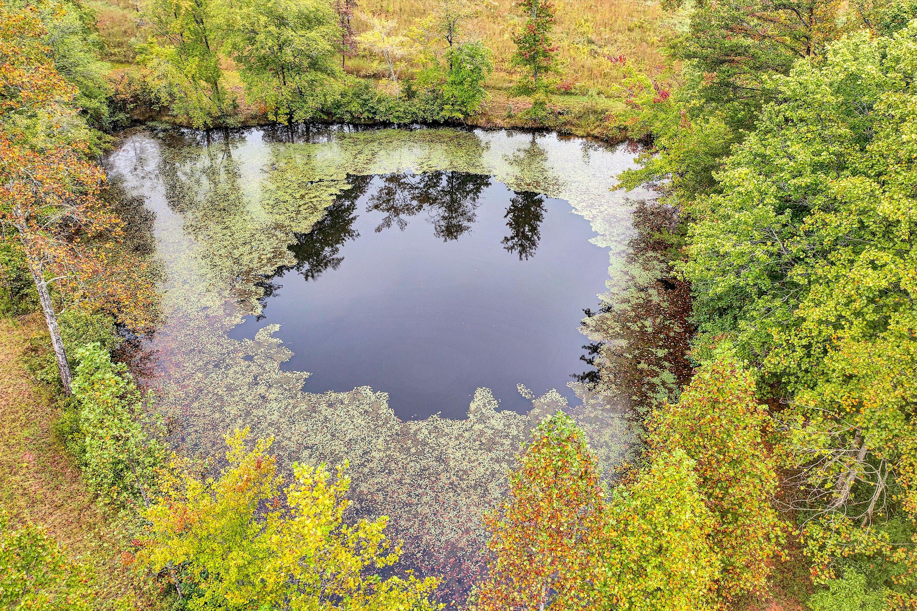 1117 Bouldin Road Ridgeway, VA 24148 - Photo 64 of 70 64-092520240080