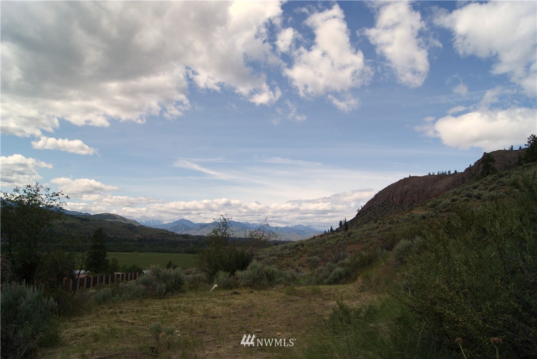 57 Homestead Hills Road Twisp, WA 98856 - Photo 1 of 19 Gallery Image 1