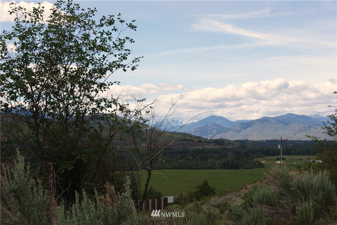 57 Homestead Hills Road Twisp, WA 98856 - Photo 2 of 19 Gallery Image 2