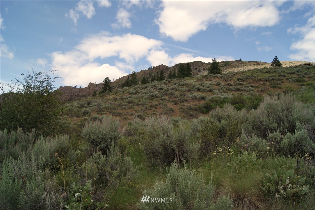 57 Homestead Hills Road Twisp, WA 98856 - Photo 11 of 19 Gallery Image 11