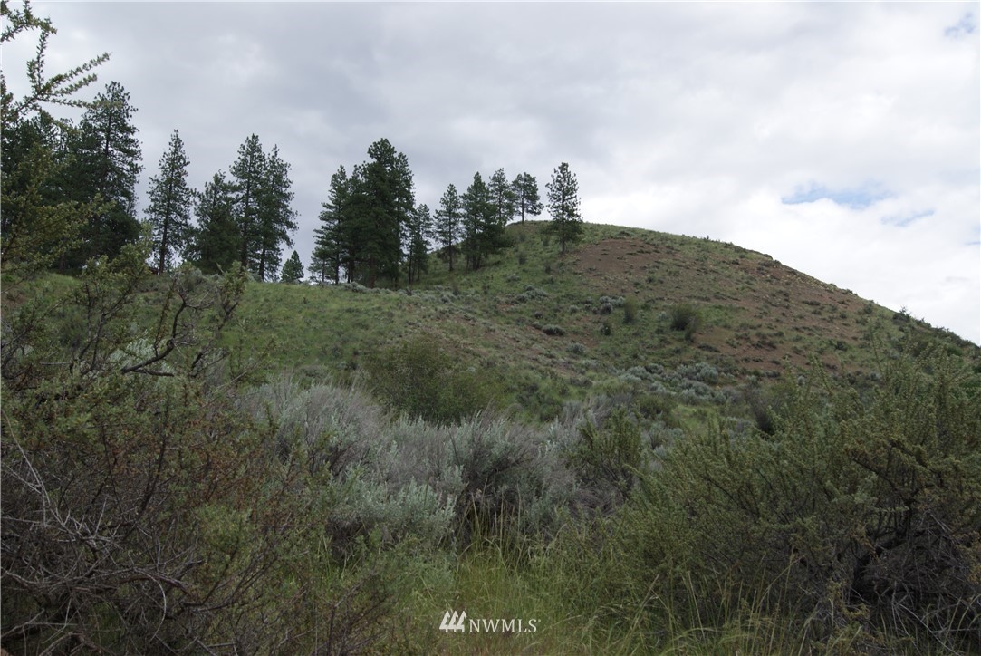 57 Homestead Hills Road Twisp, WA 98856 - Photo 16 of 19 Gallery Image 16