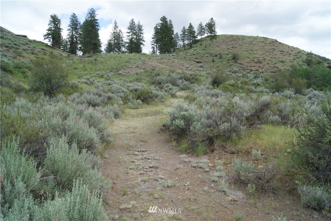 57 Homestead Hills Road Twisp, WA 98856 - Photo 19 of 19 Gallery Image 19