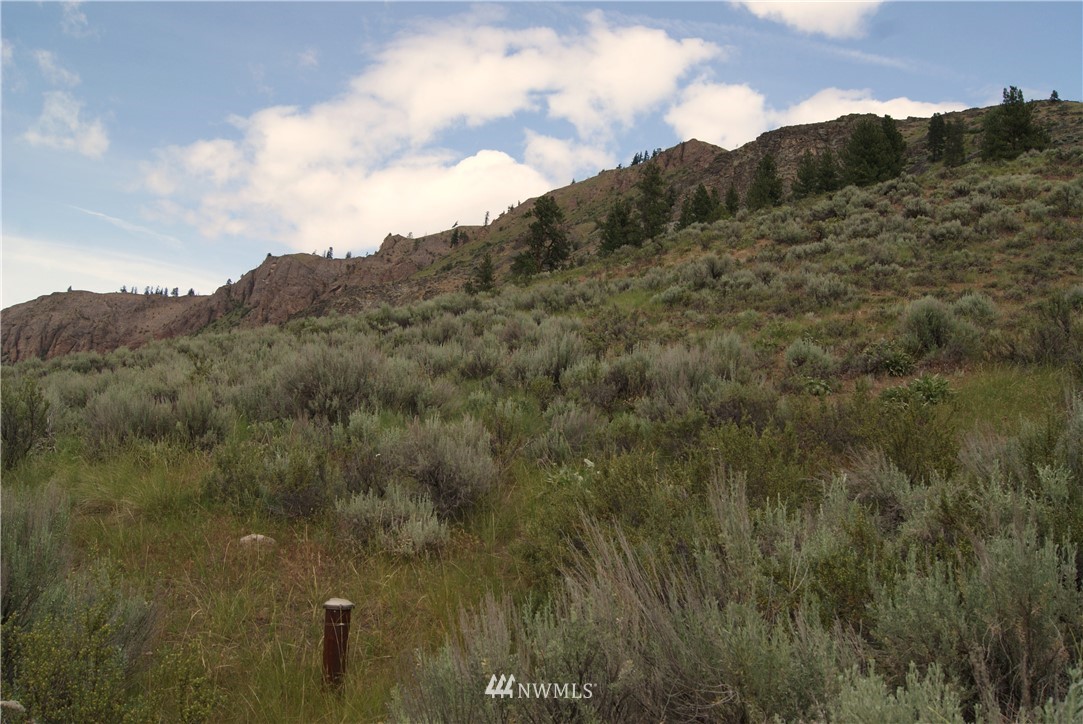 57 Homestead Hills Road Twisp, WA 98856 - Photo 10 of 19 Gallery Image 10