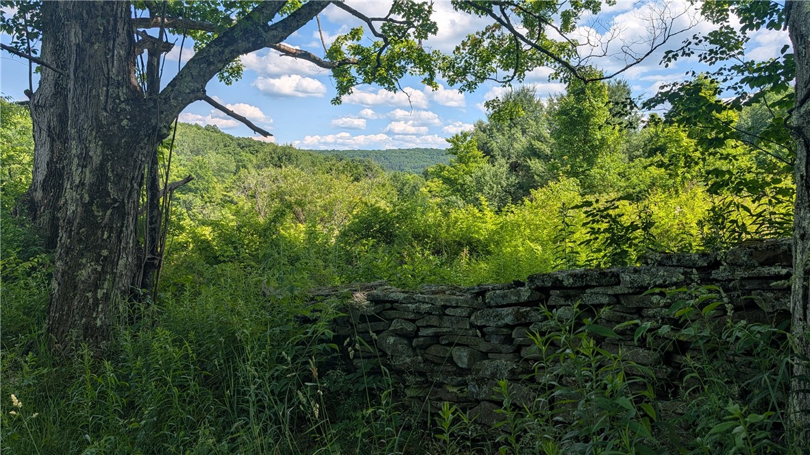 970 Clark Road Sidney Center, NY 13839 - Photo 40 of 48