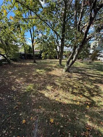 a view of outdoor space with yard and trees