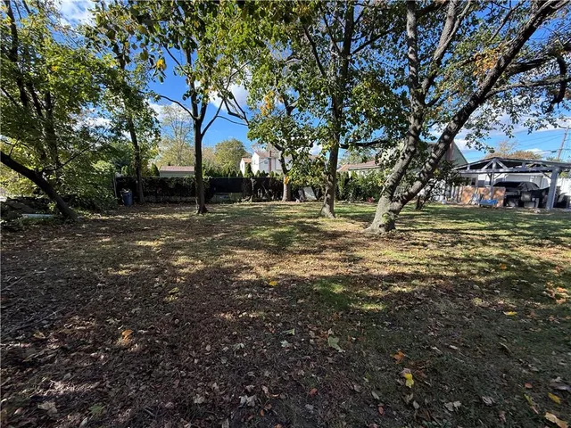 a view of a tree in the middle of a yard