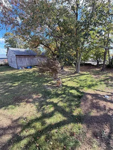 a view of a yard with large tree