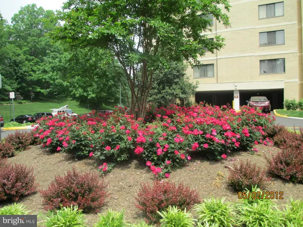 $2,300 | 205 Yoakum Parkway, Unit 804, Alexandria, VA 22304