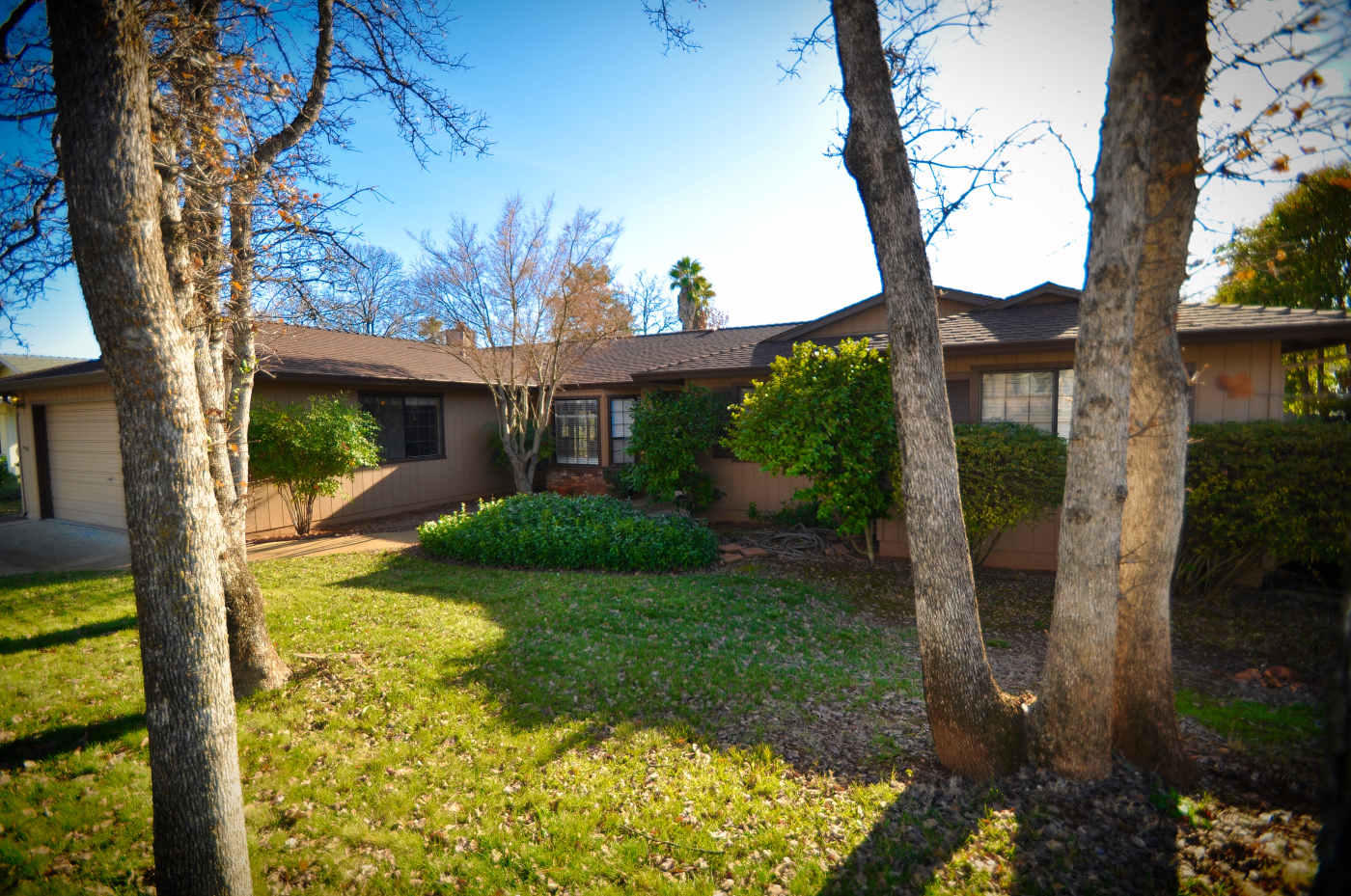a view of a house with a small yard plants and a large tree