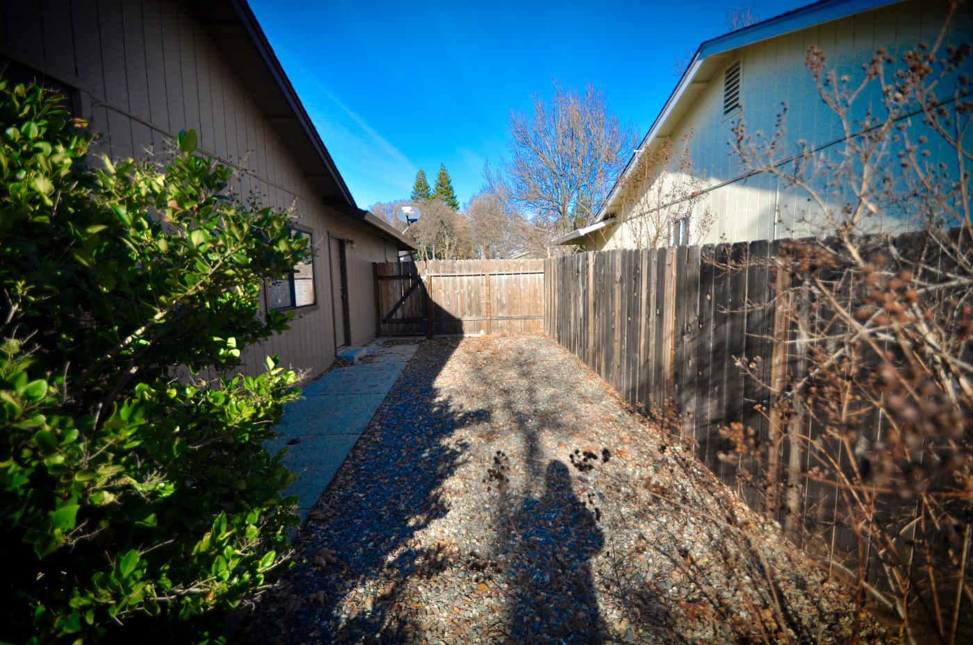 2867 Camulos Way Redding, CA 96002 - Photo 11 of 13 a view of entryway with flower plants