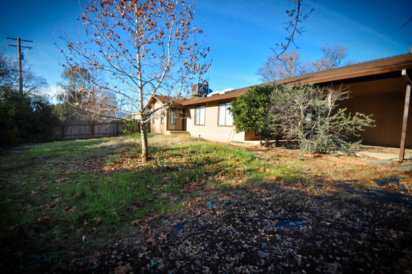 2867 Camulos Way Redding, CA 96002 - Photo 12 of 13 a backyard of a house with large trees