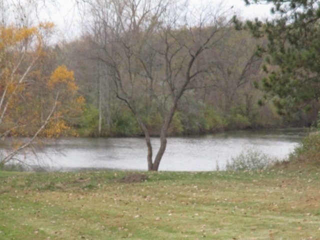 5151 North Luce Road Alma, MI 48801 - Photo 4 of 20 1840368-3.JPG