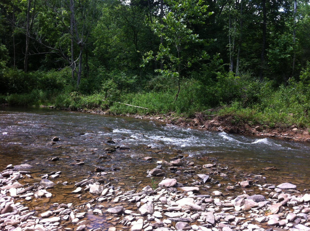 Lot 4 Hoke's Mill Road Ronceverte, WV 24970 - Photo 3 of 4 Gallery Image 3