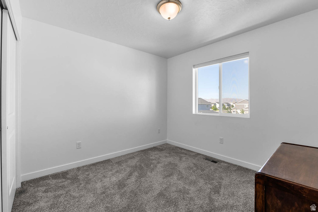 703 West 950 S Street Springville, UT 84663 - Photo 19 of 27