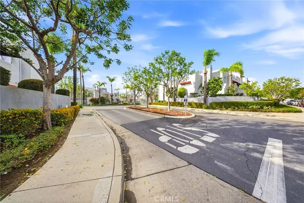 a street view with large trees