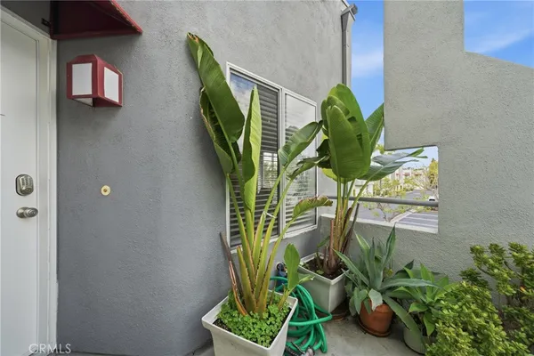 a plant with a white vase with white and yellow flowers