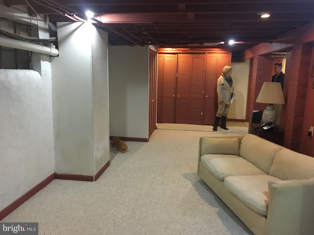 9119 Buckner Road Alexandria, VA 22309 - Photo 13 of 33 Basement