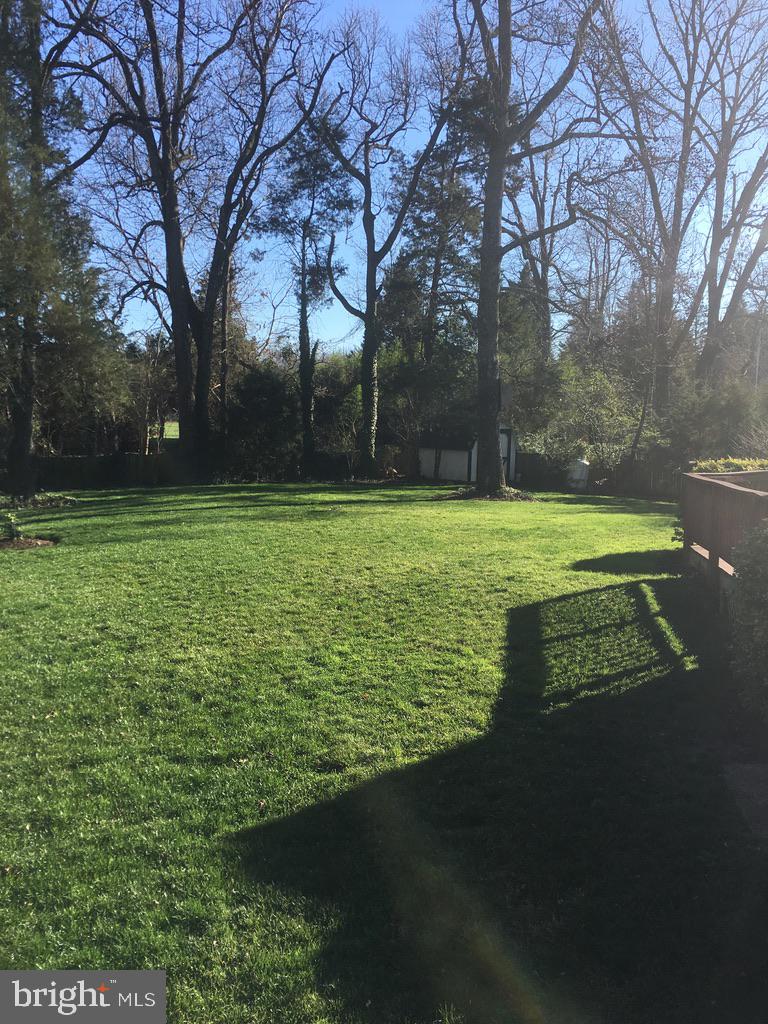 9119 Buckner Road Alexandria, VA 22309 - Photo 3 of 33 Private Yard