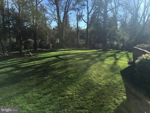 a view of yard with green space