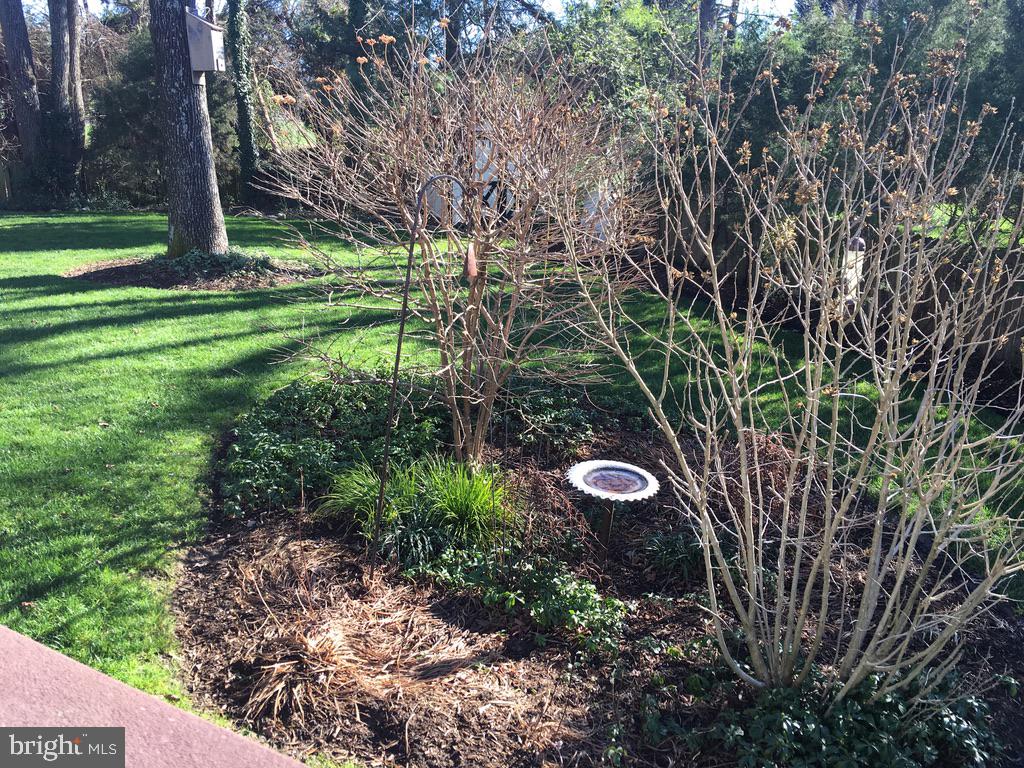 9119 Buckner Road Alexandria, VA 22309 - Photo 6 of 33