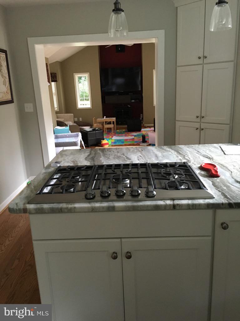 9119 Buckner Road Alexandria, VA 22309 - Photo 9 of 33