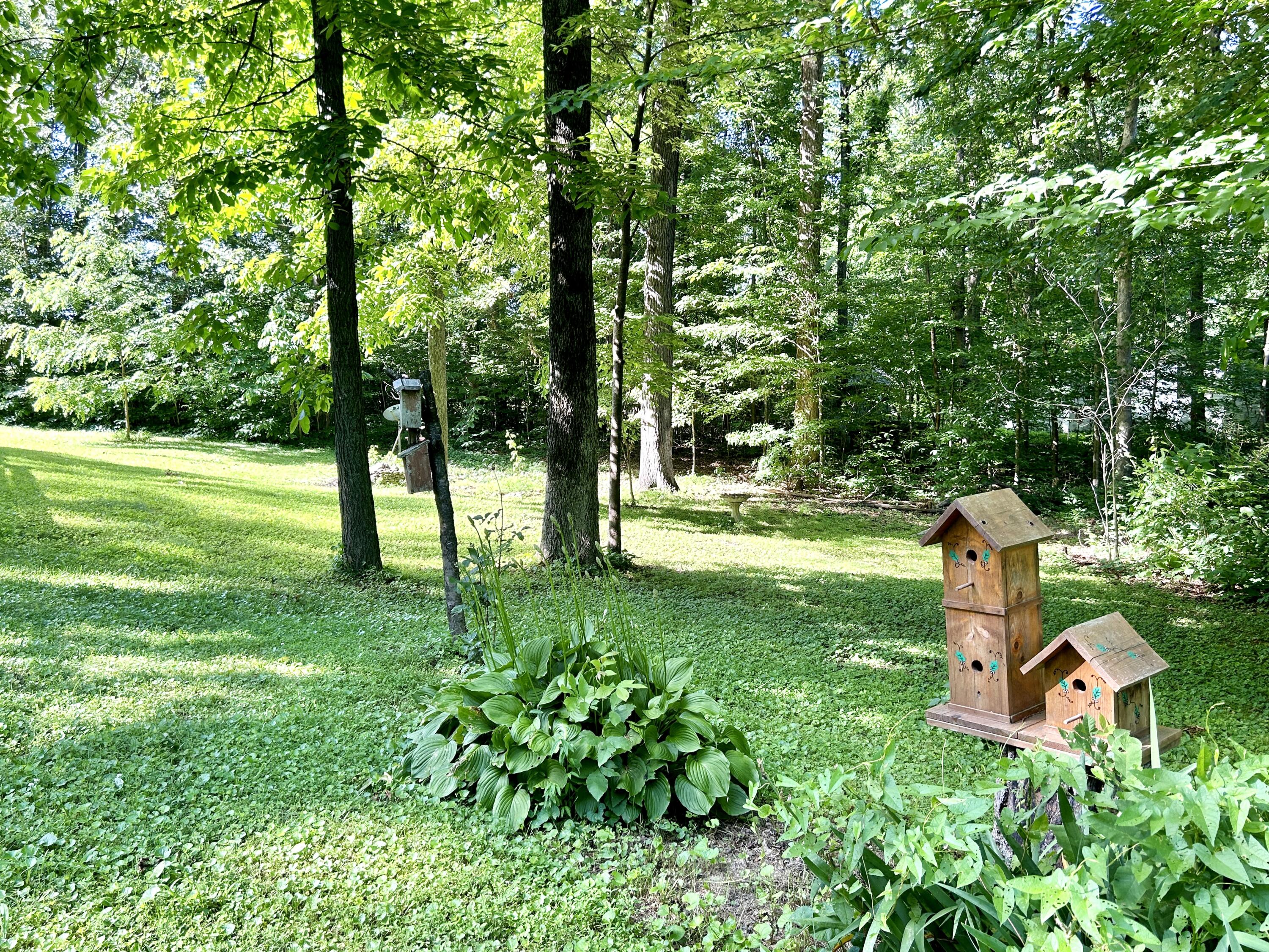 264 Shady Acres Road Bronston, KY 42518 - Photo 14 of 36 IMG_E1677