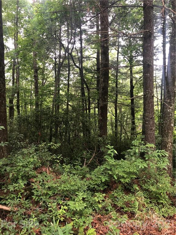 6 Chestnut Cove Road, Unit 6 Brevard, NC 28712 - Photo 1 of 12 Gallery Image 1