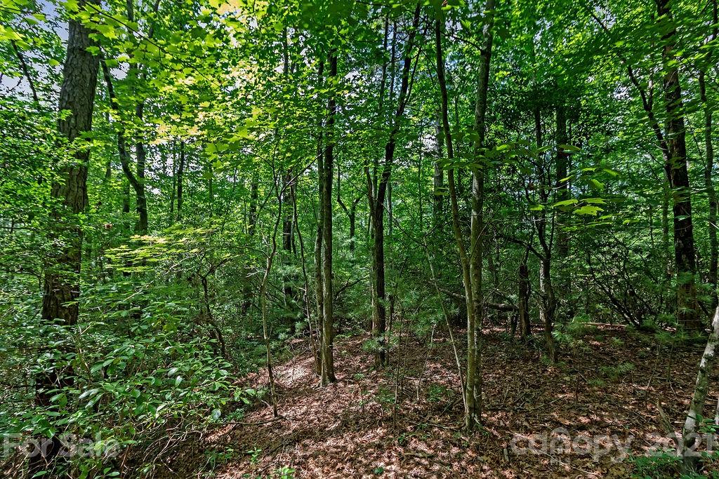 6 Chestnut Cove Road, Unit 6 Brevard, NC 28712 - Photo 11 of 12 Gallery Image 11